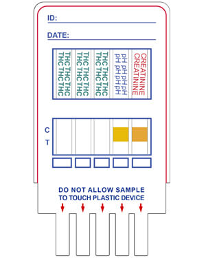 P3 THC test